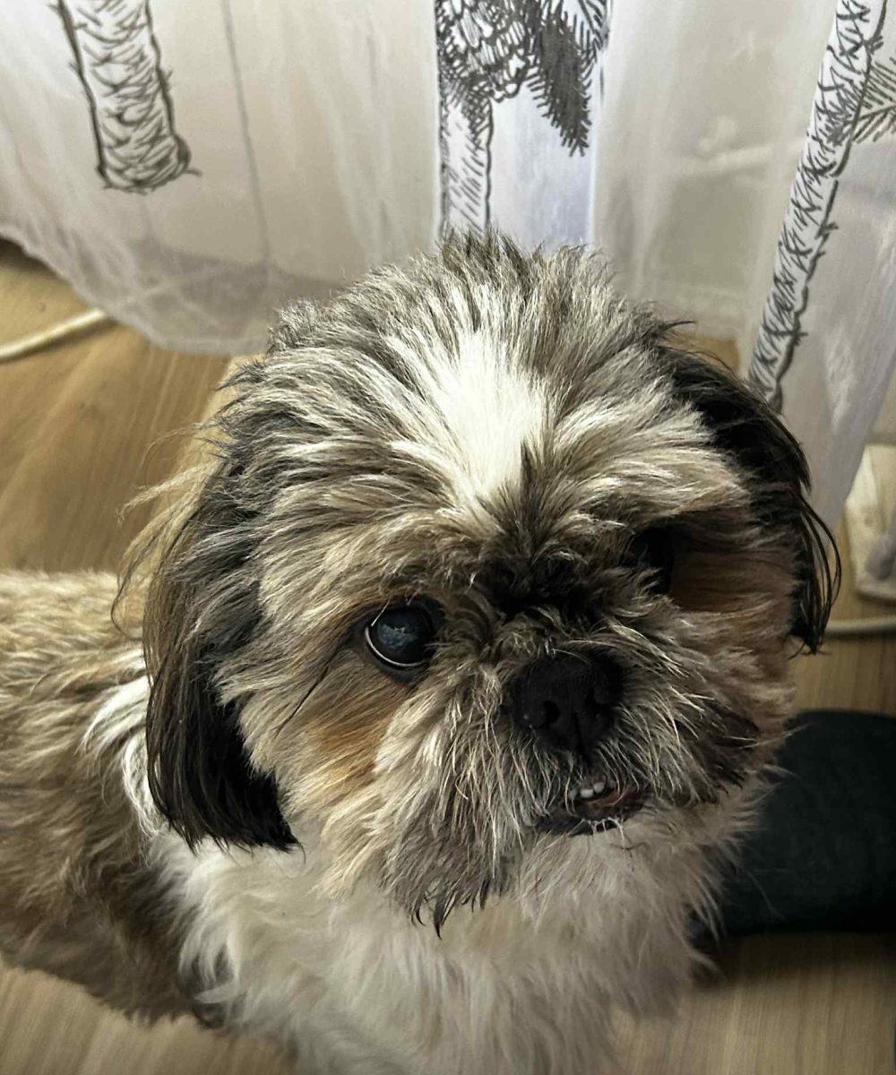 4dfe397d-1ff4-45d8-8f37-cfa5a6040912