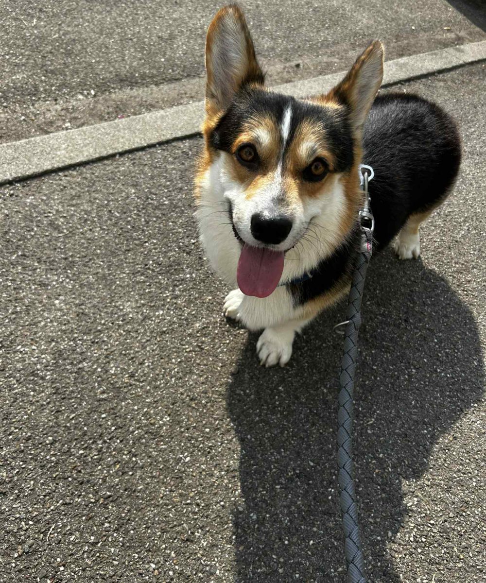 7dc75e51-3441-4c67-9607-d384b3559db9