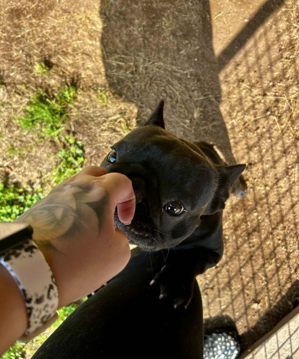 aa3c019e-52fd-456d-8763-99b9dc174f48