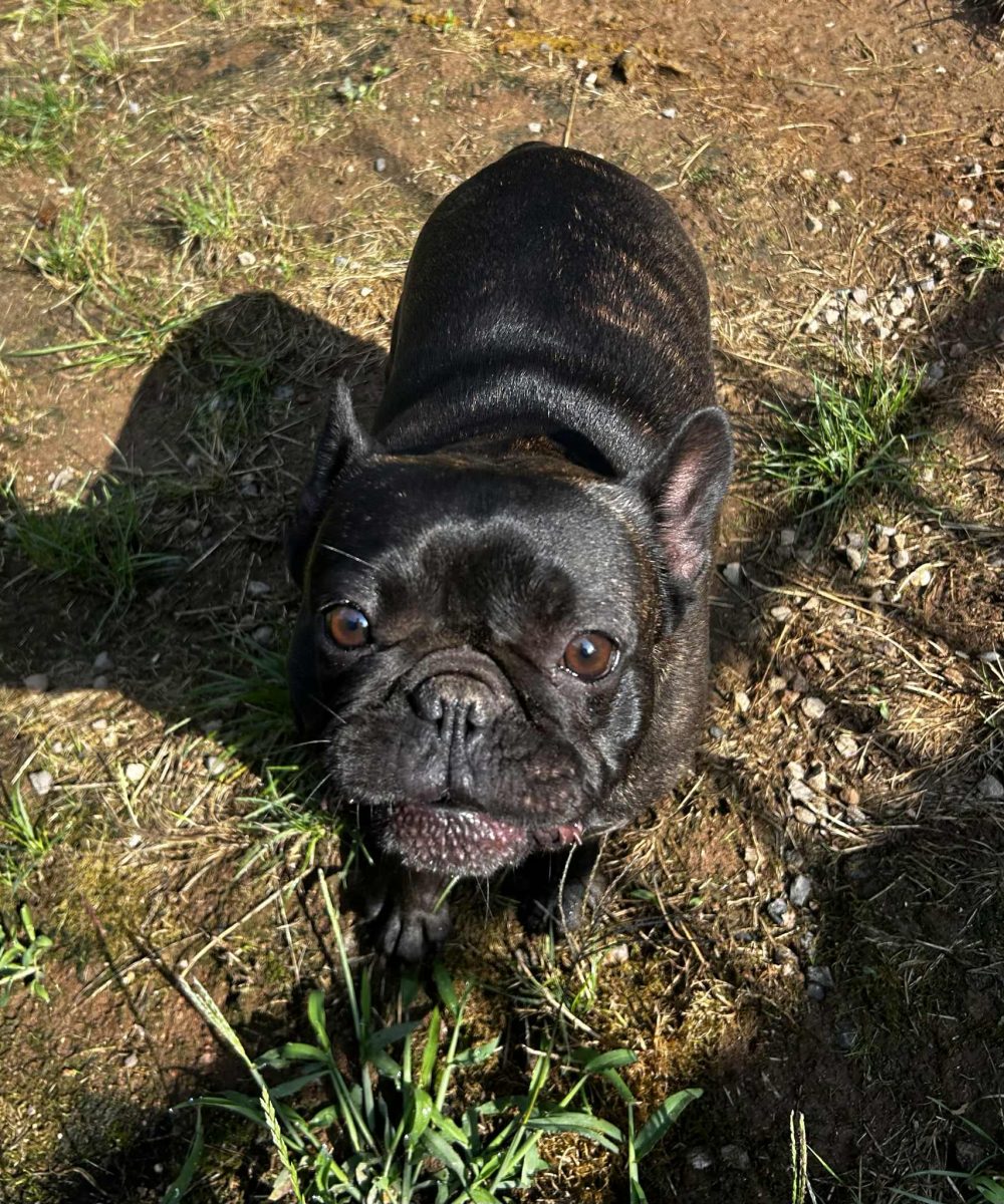 f1d9b63f-6888-470b-8448-00bcf6dcdcc9